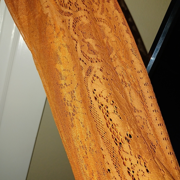 Velvet long sleeved lace sleeves.  The color is brick. - Picture 3 of 9